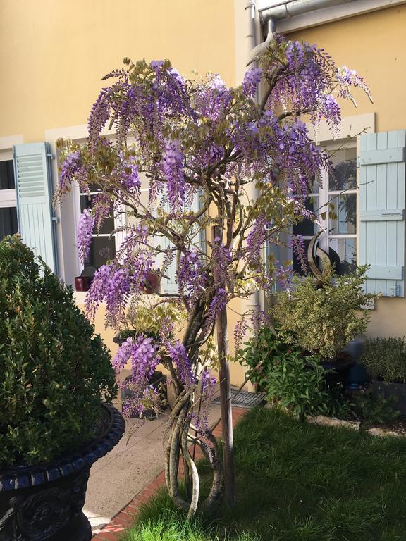 Chambres D'Hote Le Clos De L'Argolay Charolles Esterno foto